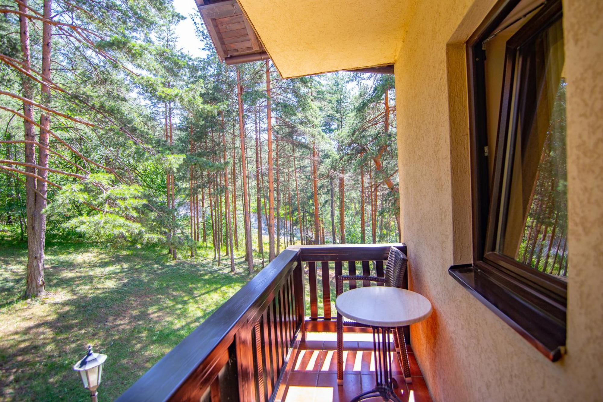 Vila Pina Zlatibor Luaran gambar