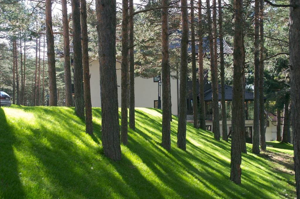 Vila Pina Zlatibor Luaran gambar